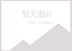 邯郸丛台白山化学有限公司